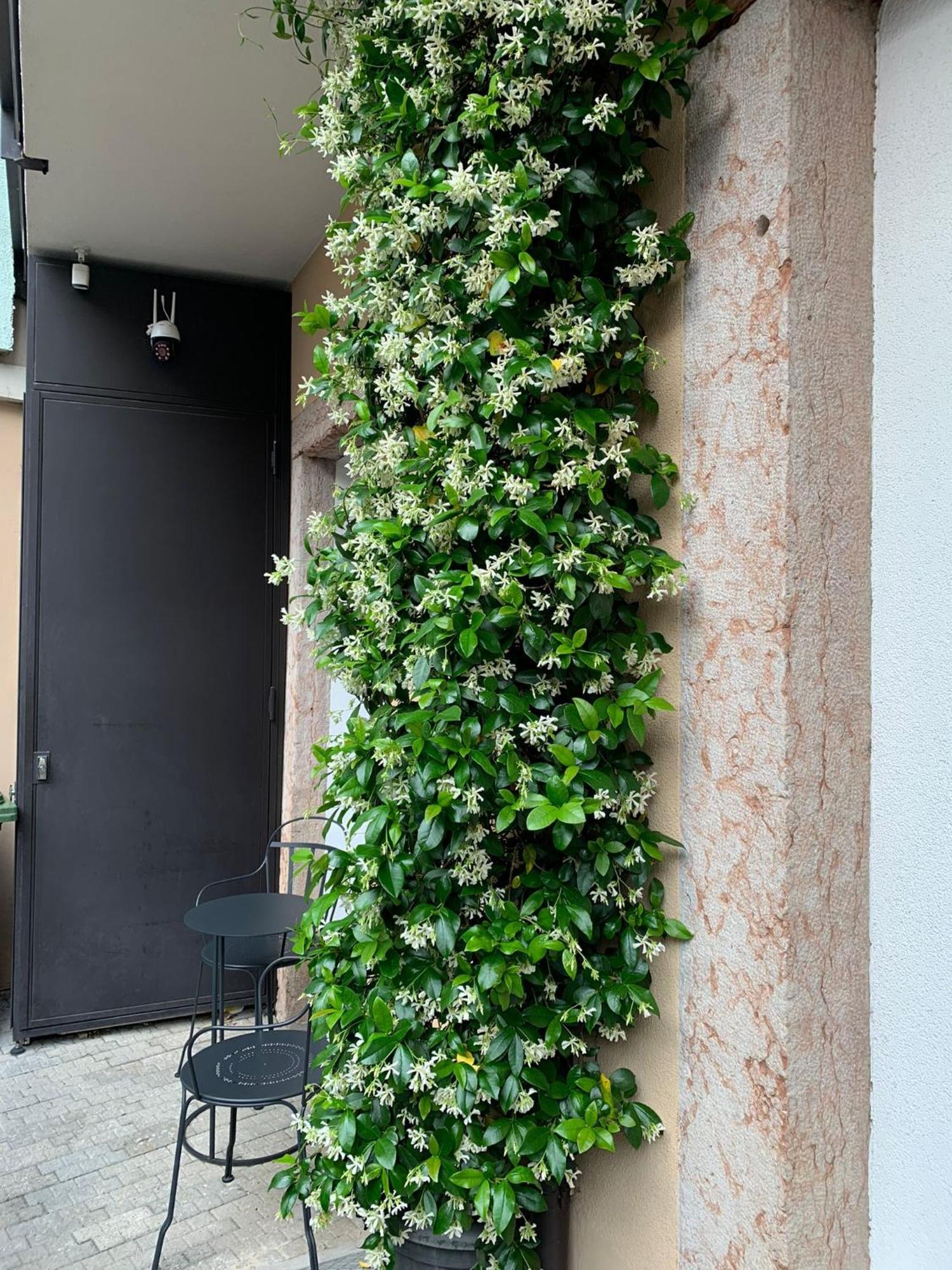 Villa Jasmine Bolzano Esterno foto