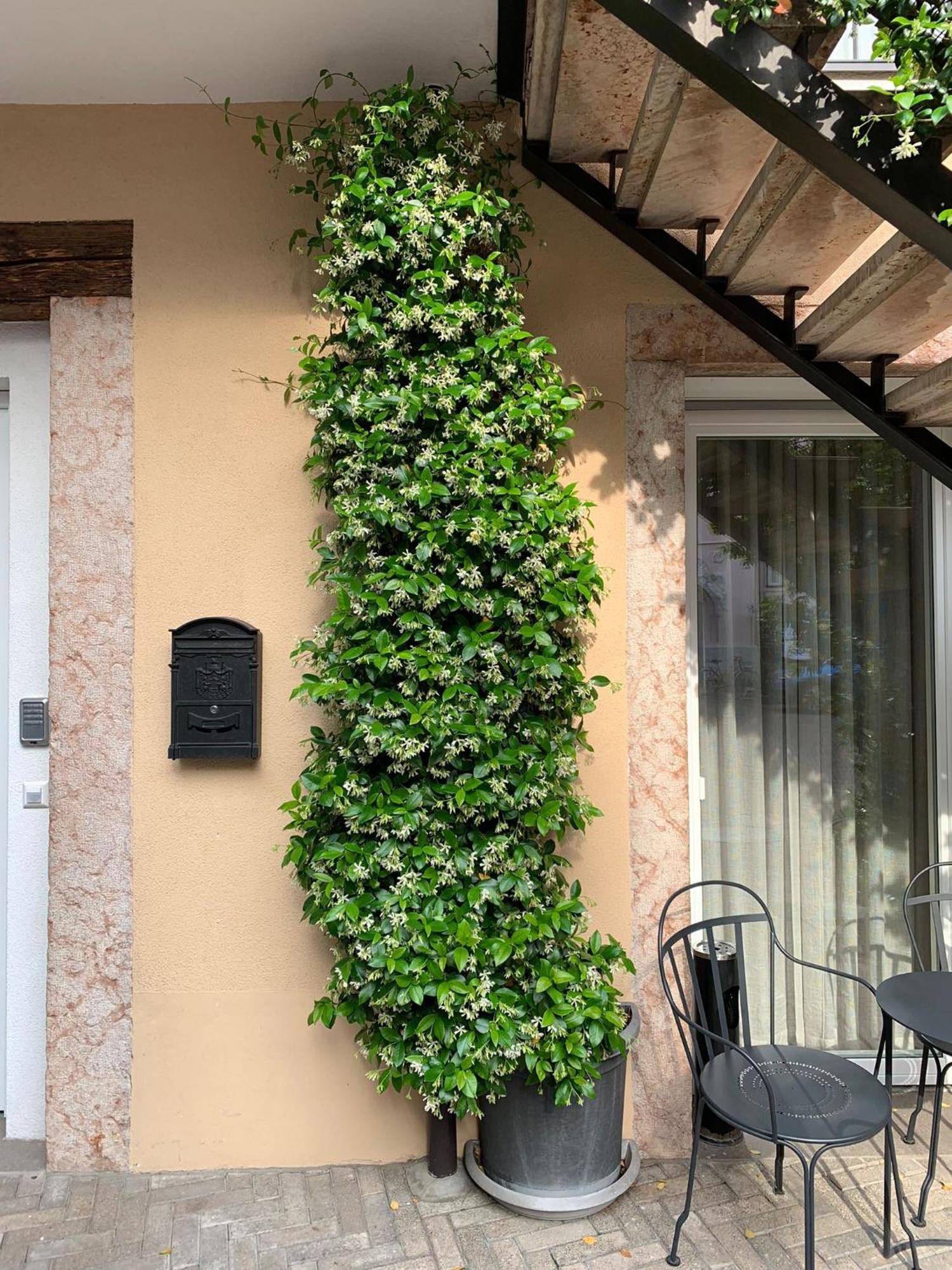 Villa Jasmine Bolzano Esterno foto